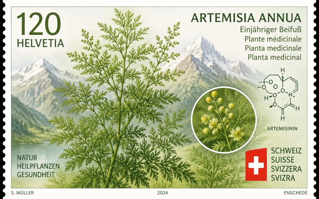 Heilpflanzen auf Schweizer Briefmarken – Von Edelweiss bis zur Vision einer Artemisia-annua-Briefmarke